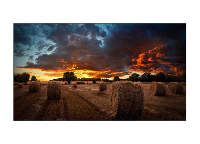 Samsung VM46B – monitor videowall 46 inch, 500 nits, FHD, 24/7, IPS, Daisy Chain