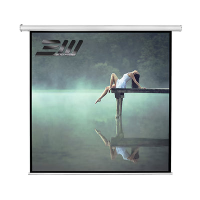 Ecran proiectie electric 300x300 cm Blackmount 1:1 perete tavan