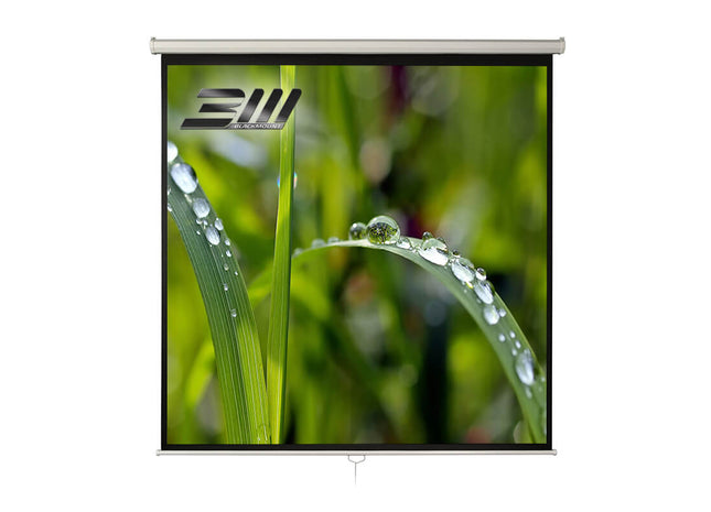Manual projection screen 300x300 cm Blackmount 1:1 wall ceiling