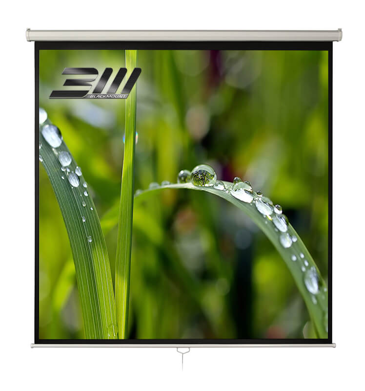 Ecran proiectie manual 300x300 cm Blackmount 1:1 perete tavan