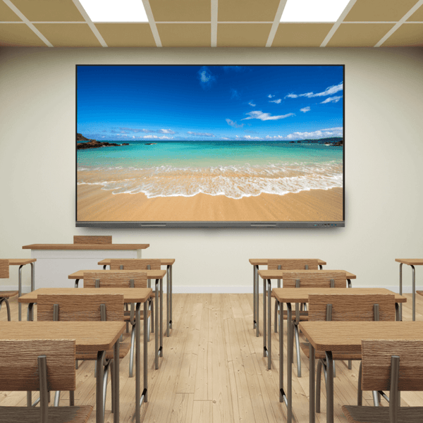 Horizon A3C 75 inch panou spate conectivitate completa