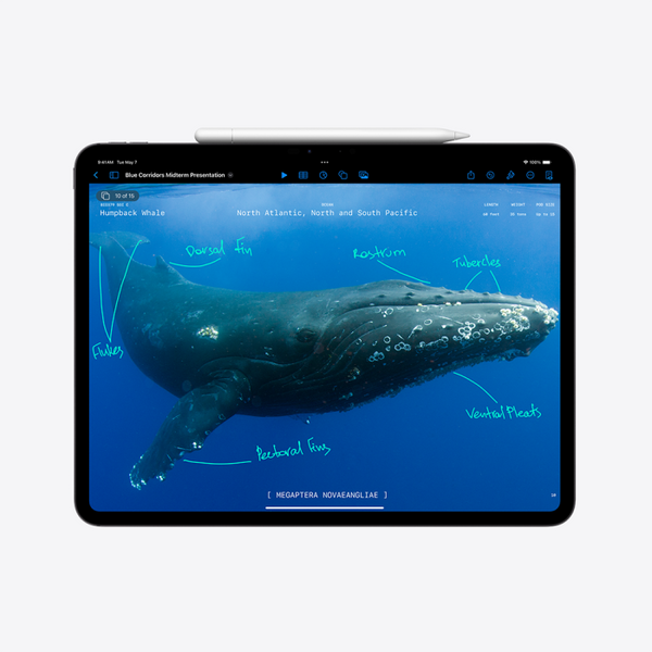 Apple 11-inch iPad Pro (M4) Cellular 1TB with Nano-texture Glass - Space Black