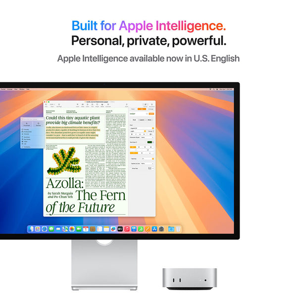 Sistem Desktop PC APPLE Mac Mini, Apple M4, 16GB, SSD 256GB, 10-core GPU, macOS Sequoia - INT