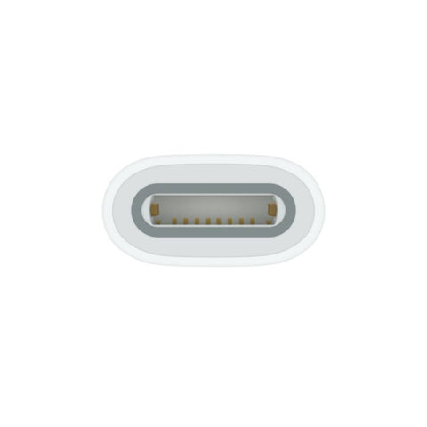 Apple USB-C to Apple Pencil Adapter – adaptor original pentru conectarea Apple Pencil (1st Generation) la iPad cu port USB-C