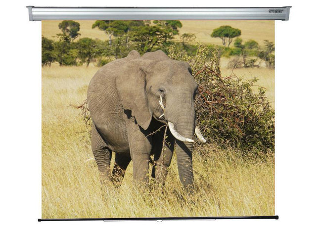Sopar Platinum projection screen, manual, wall, 200cm x 210cm, 1:1 format, white