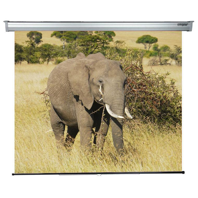 Ecran de proiectie Sopar Platinum, manual, perete, 200cm x 210cm, format 1:1, alb