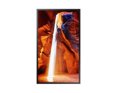 Display profesional Samsung pentru retail